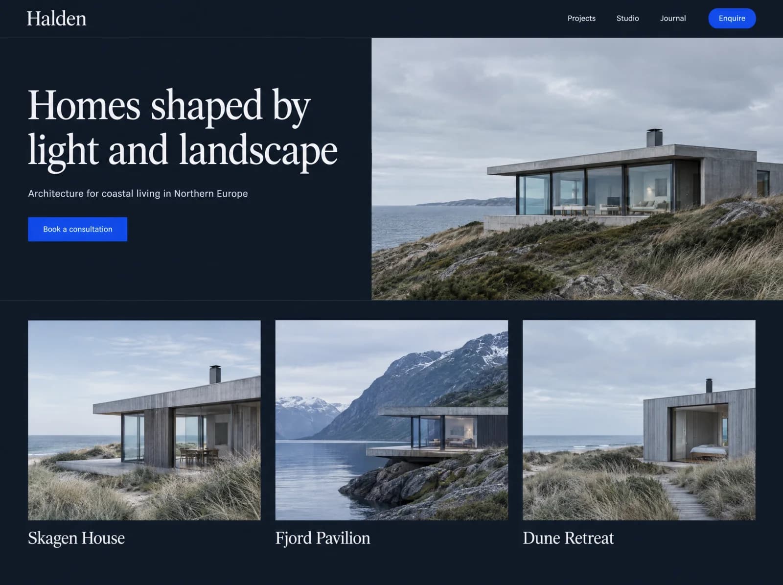 Preview of the fictional Halden Studio website being reviewed.