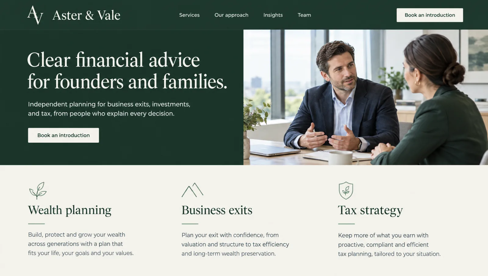 Professional Services websites concept